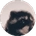 Homies Custom Badge